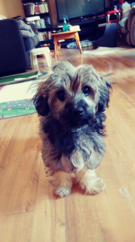 20180404_145340_Film1